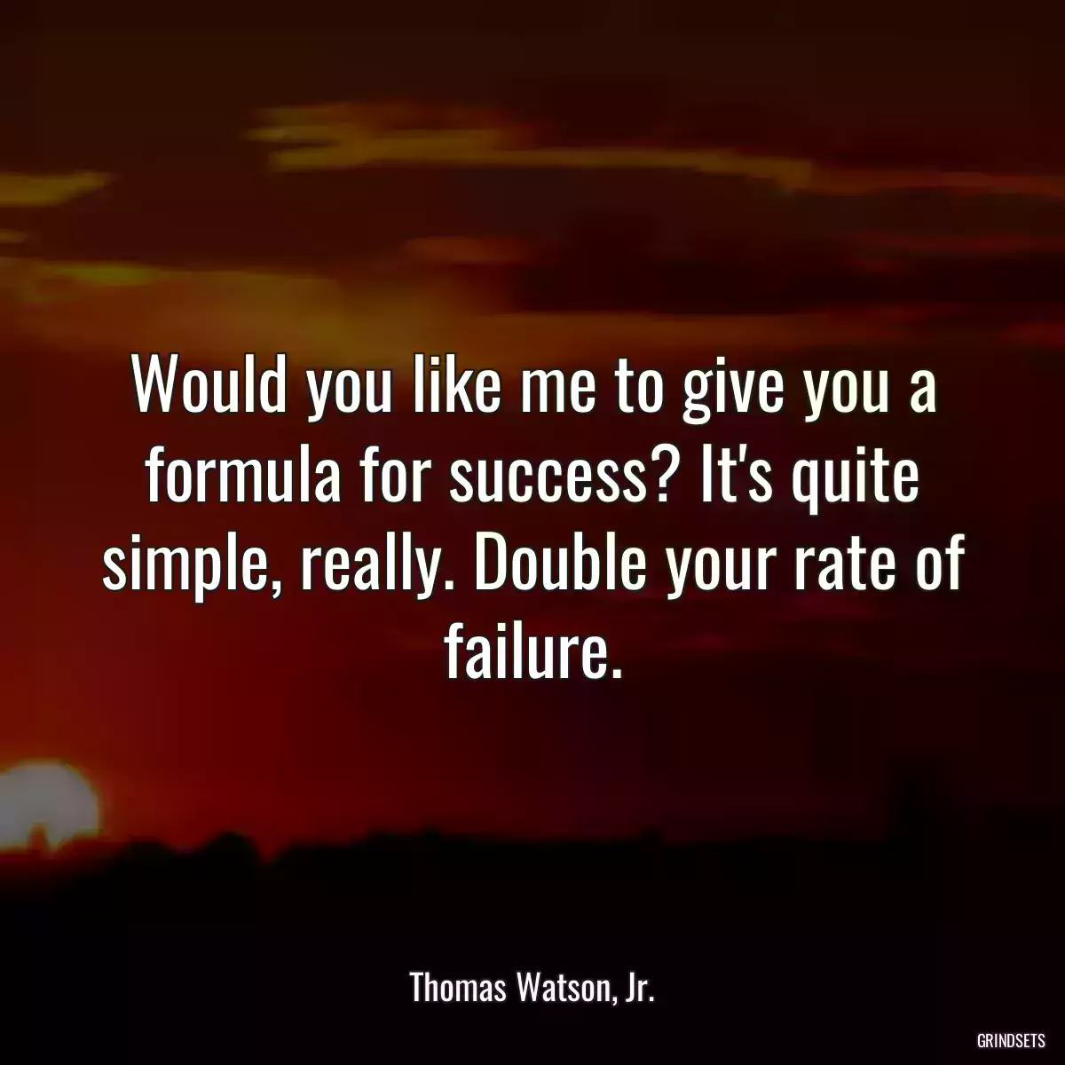 Would you like me to give you a formula for success? It\'s quite simple, really. Double your rate of failure.