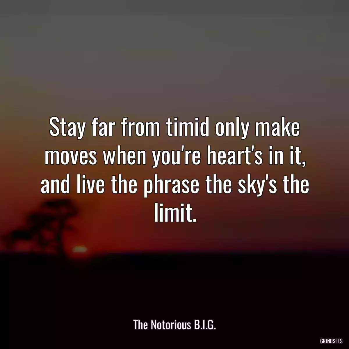 Stay far from timid only make moves when you\'re heart\'s in it, and live the phrase the sky\'s the limit.