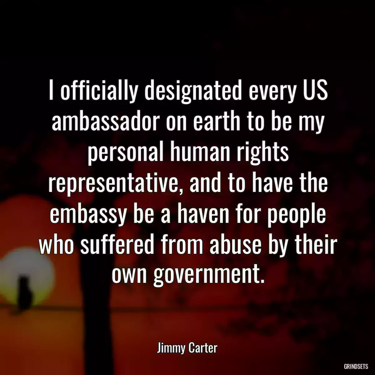 I officially designated every US ambassador on earth to be my personal human rights representative, and to have the embassy be a haven for people who suffered from abuse by their own government.