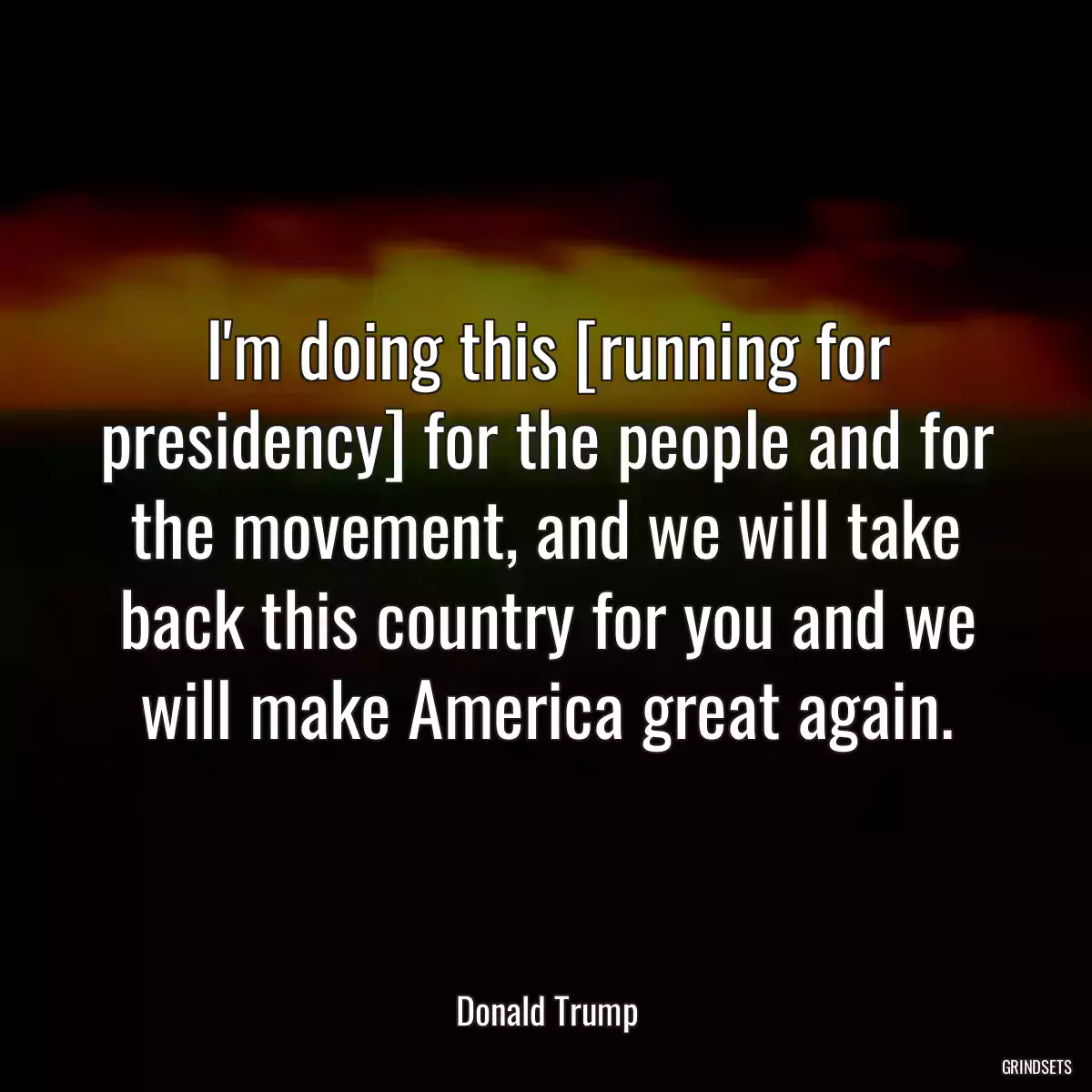 I\'m doing this [running for presidency] for the people and for the movement, and we will take back this country for you and we will make America great again.