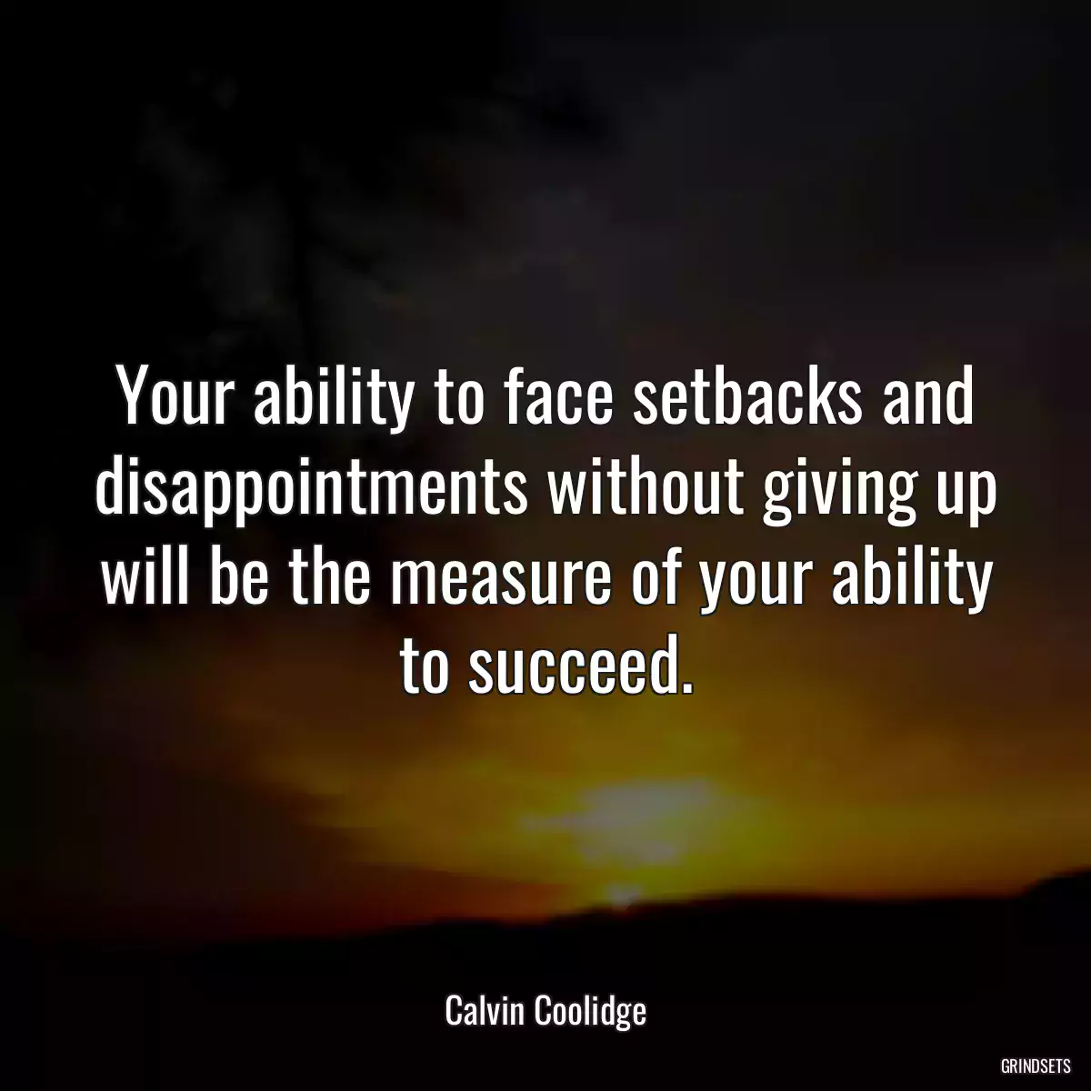 Your ability to face setbacks and disappointments without giving up will be the measure of your ability to succeed.