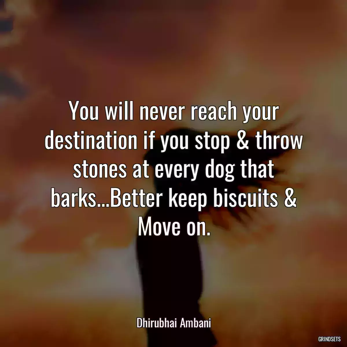 You will never reach your destination if you stop & throw stones at every dog that barks...Better keep biscuits & Move on.