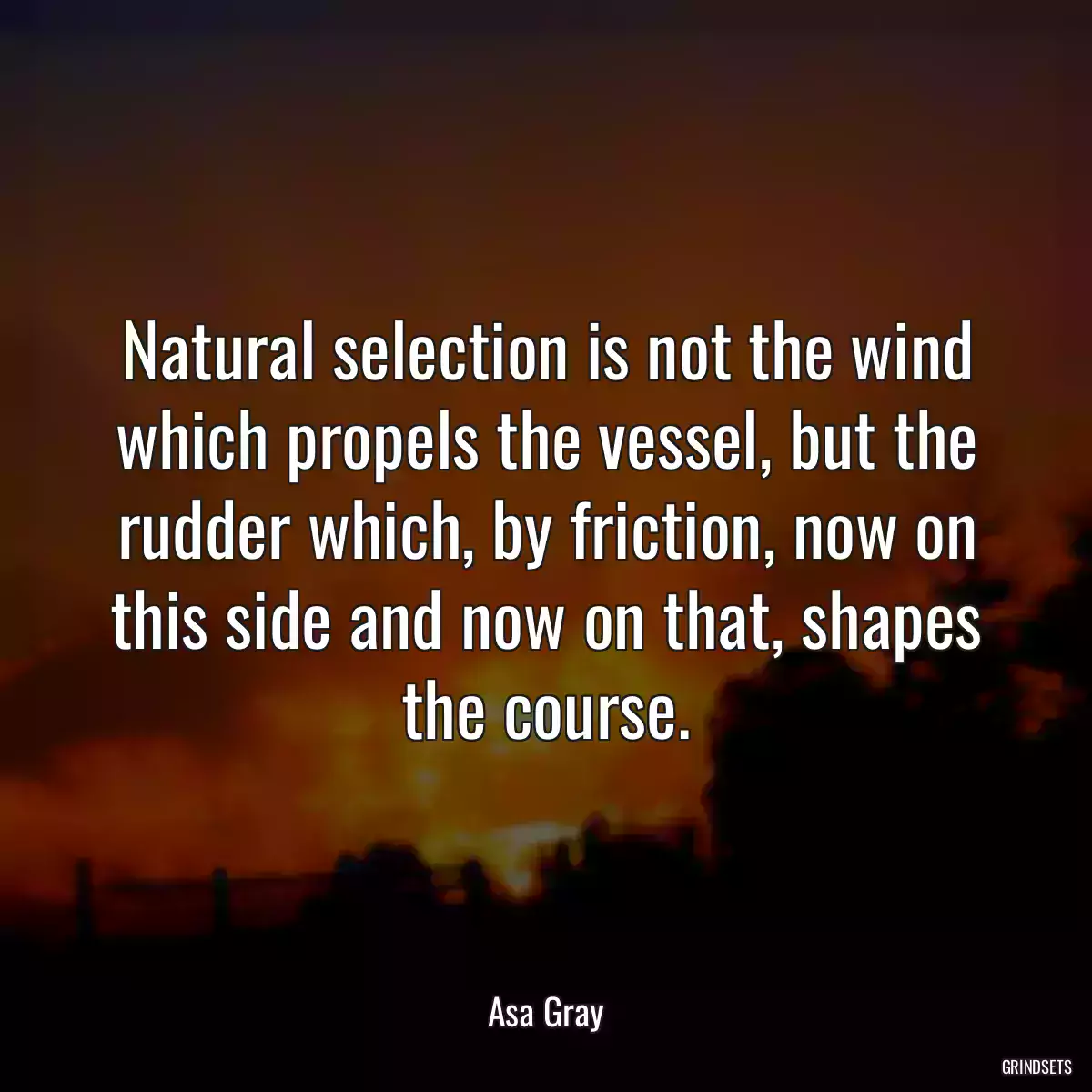 Natural selection is not the wind which propels the vessel, but the rudder which, by friction, now on this side and now on that, shapes the course.