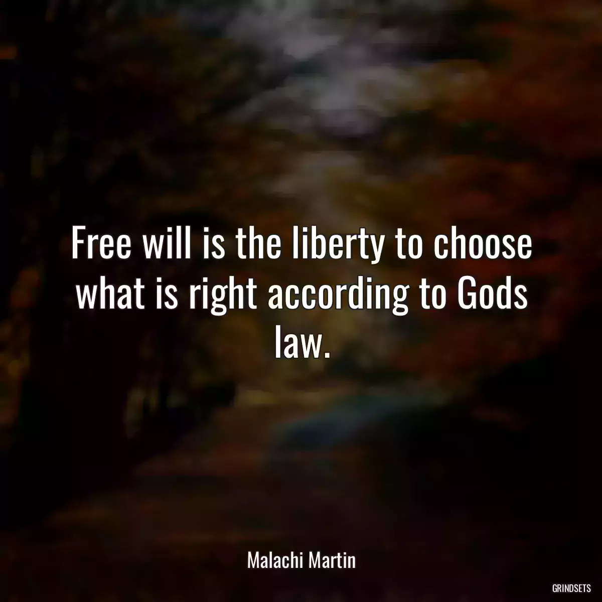 Free will is the liberty to choose what is right according to Gods law.