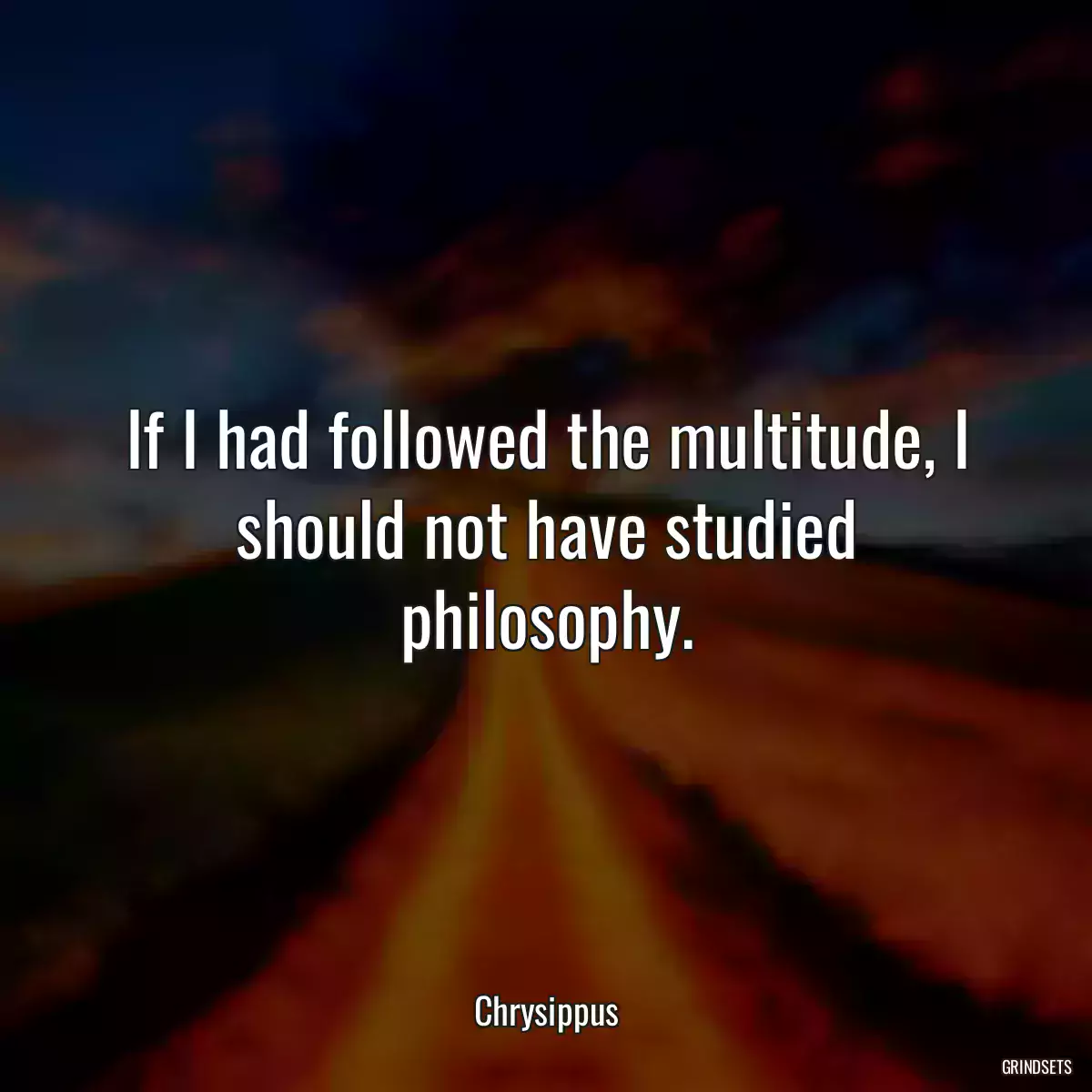 If I had followed the multitude, I should not have studied philosophy.