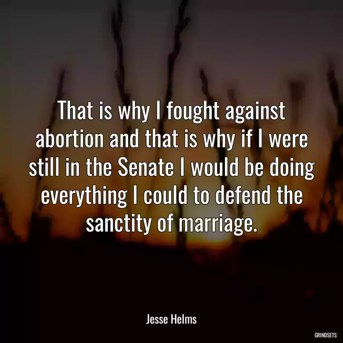 That is why I fought against abortion and that is why if I were still in the Senate I would be doing everything I could to defend the sanctity of marriage.