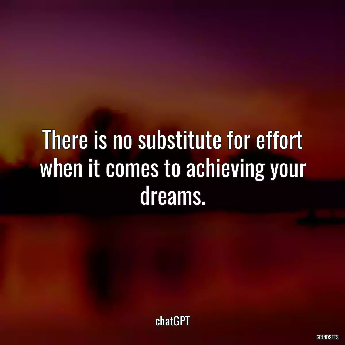 There is no substitute for effort when it comes to achieving your dreams.