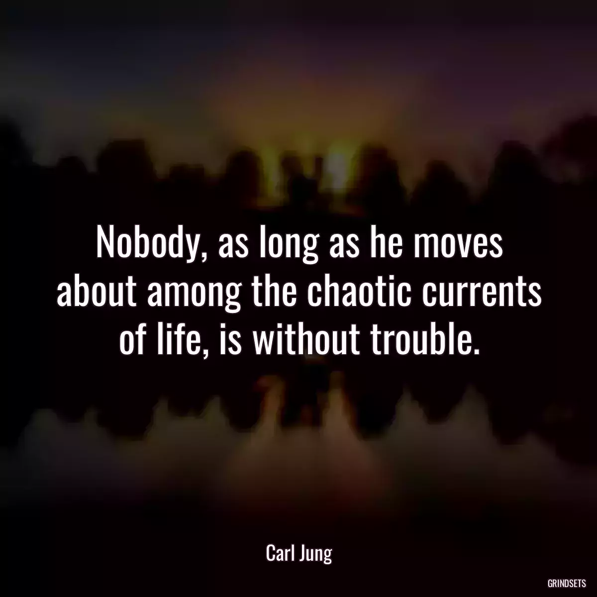 Nobody, as long as he moves about among the chaotic currents of life, is without trouble.