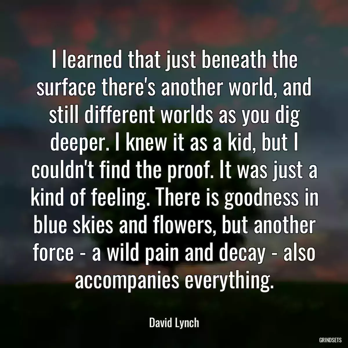 I learned that just beneath the surface there\'s another world, and still different worlds as you dig deeper. I knew it as a kid, but I couldn\'t find the proof. It was just a kind of feeling. There is goodness in blue skies and flowers, but another force - a wild pain and decay - also accompanies everything.