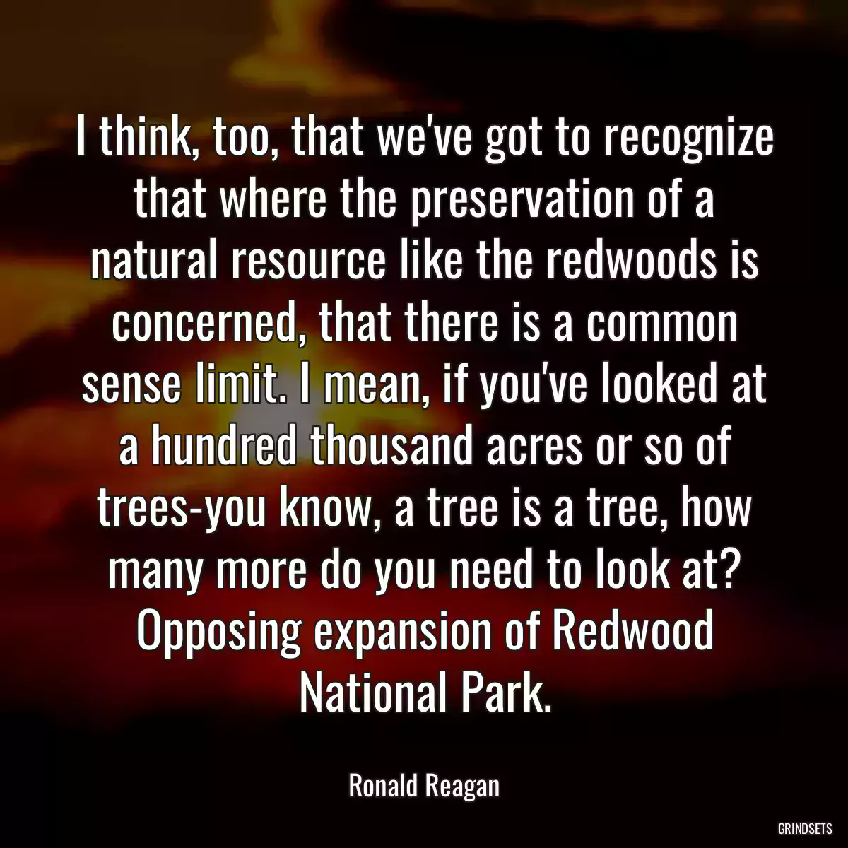 I think, too, that we\'ve got to recognize that where the preservation of a natural resource like the redwoods is concerned, that there is a common sense limit. I mean, if you\'ve looked at a hundred thousand acres or so of trees-you know, a tree is a tree, how many more do you need to look at?
Opposing expansion of Redwood National Park.