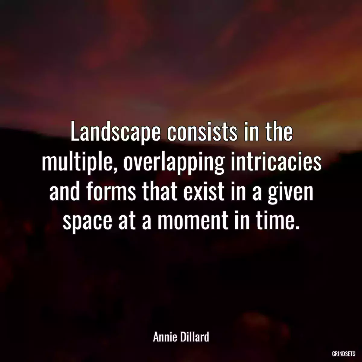 Landscape consists in the multiple, overlapping intricacies and forms that exist in a given space at a moment in time.