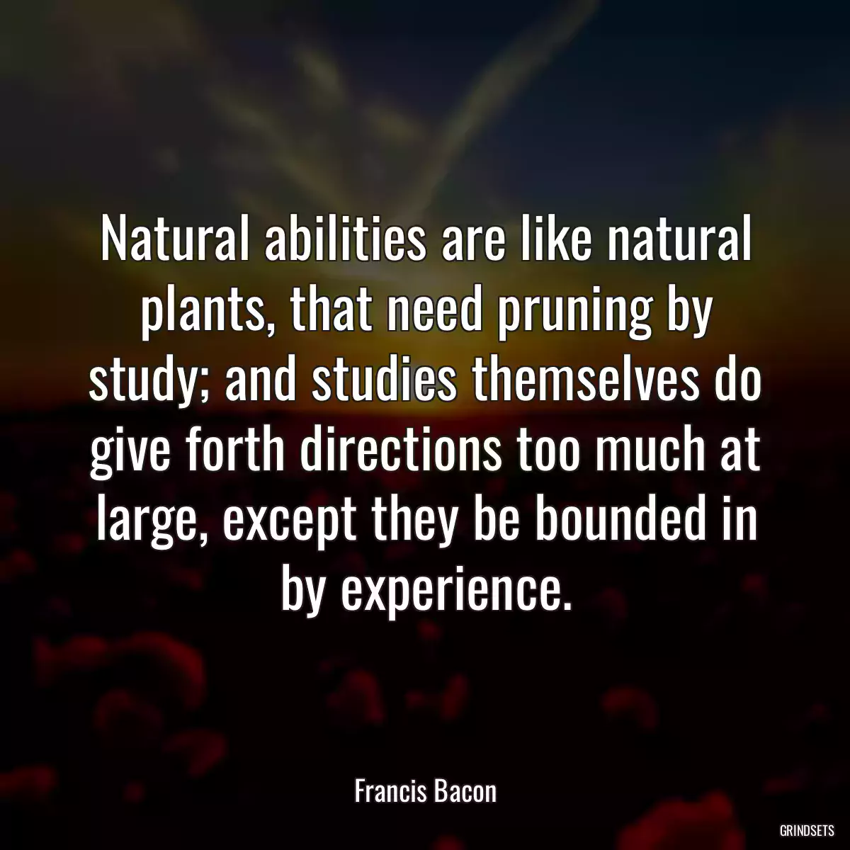 Natural abilities are like natural plants, that need pruning by study; and studies themselves do give forth directions too much at large, except they be bounded in by experience.