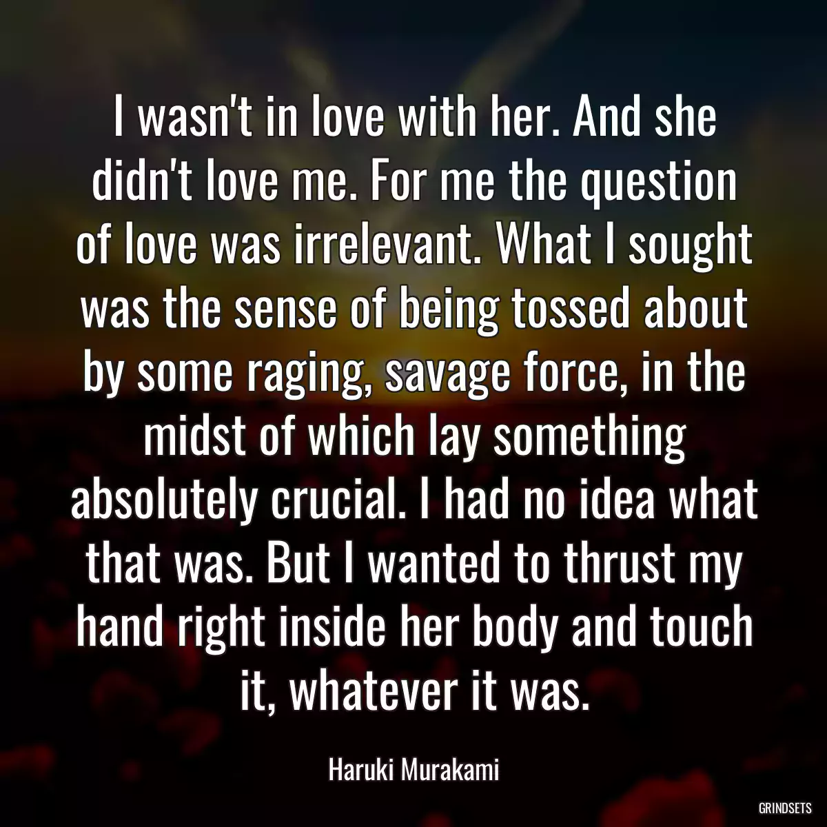 I wasn\'t in love with her. And she didn\'t love me. For me the question of love was irrelevant. What I sought was the sense of being tossed about by some raging, savage force, in the midst of which lay something absolutely crucial. I had no idea what that was. But I wanted to thrust my hand right inside her body and touch it, whatever it was.