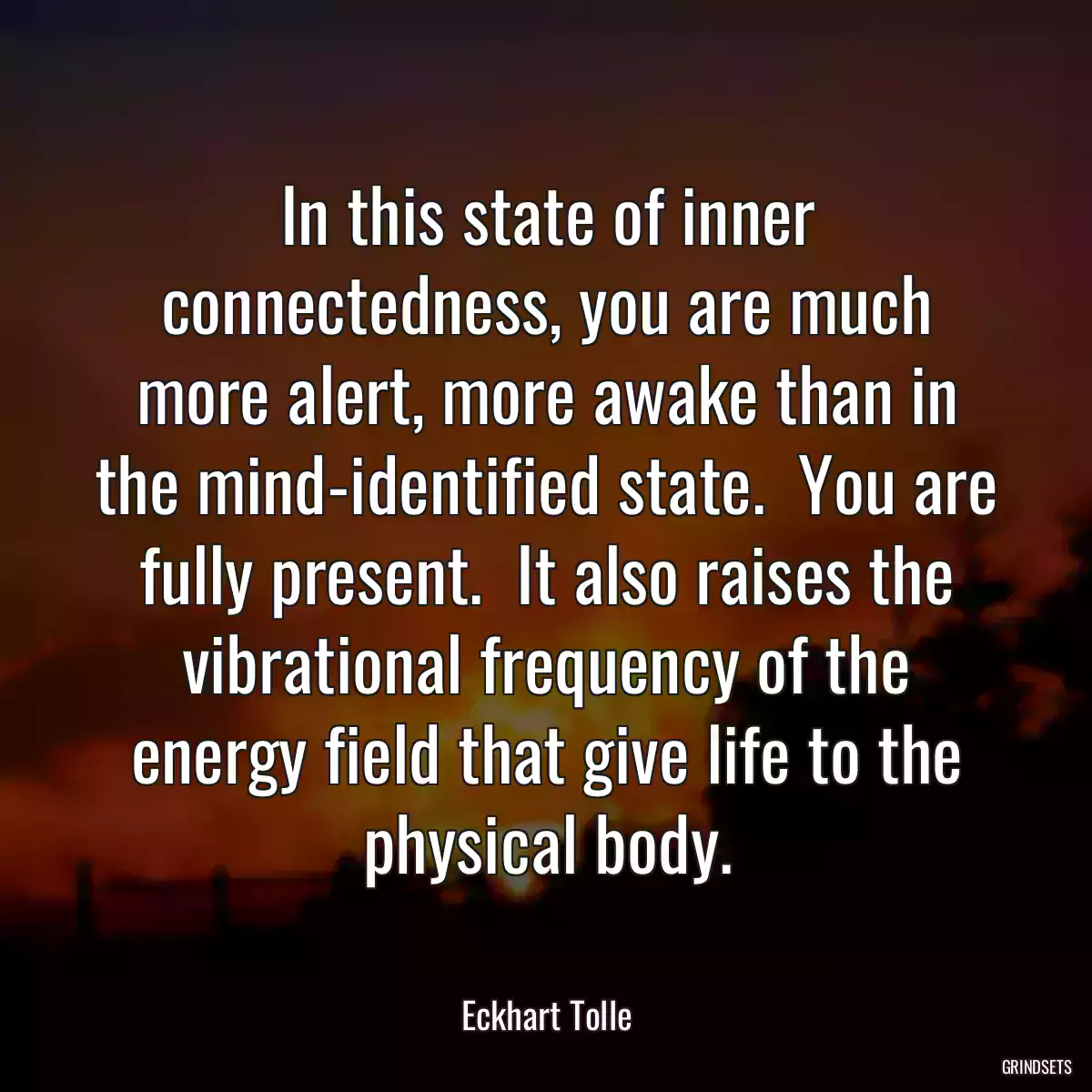 In this state of inner connectedness, you are much more alert, more awake than in the mind-identified state.  You are fully present.  It also raises the vibrational frequency of the energy field that give life to the physical body.