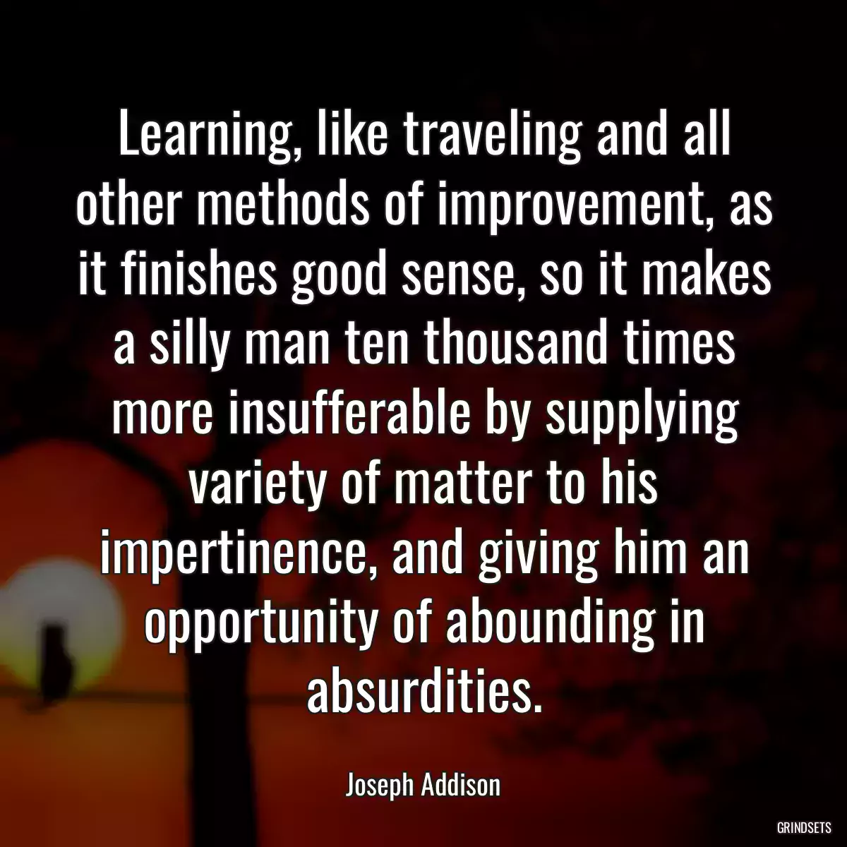 Learning, like traveling and all other methods of improvement, as it finishes good sense, so it makes a silly man ten thousand times more insufferable by supplying variety of matter to his impertinence, and giving him an opportunity of abounding in absurdities.