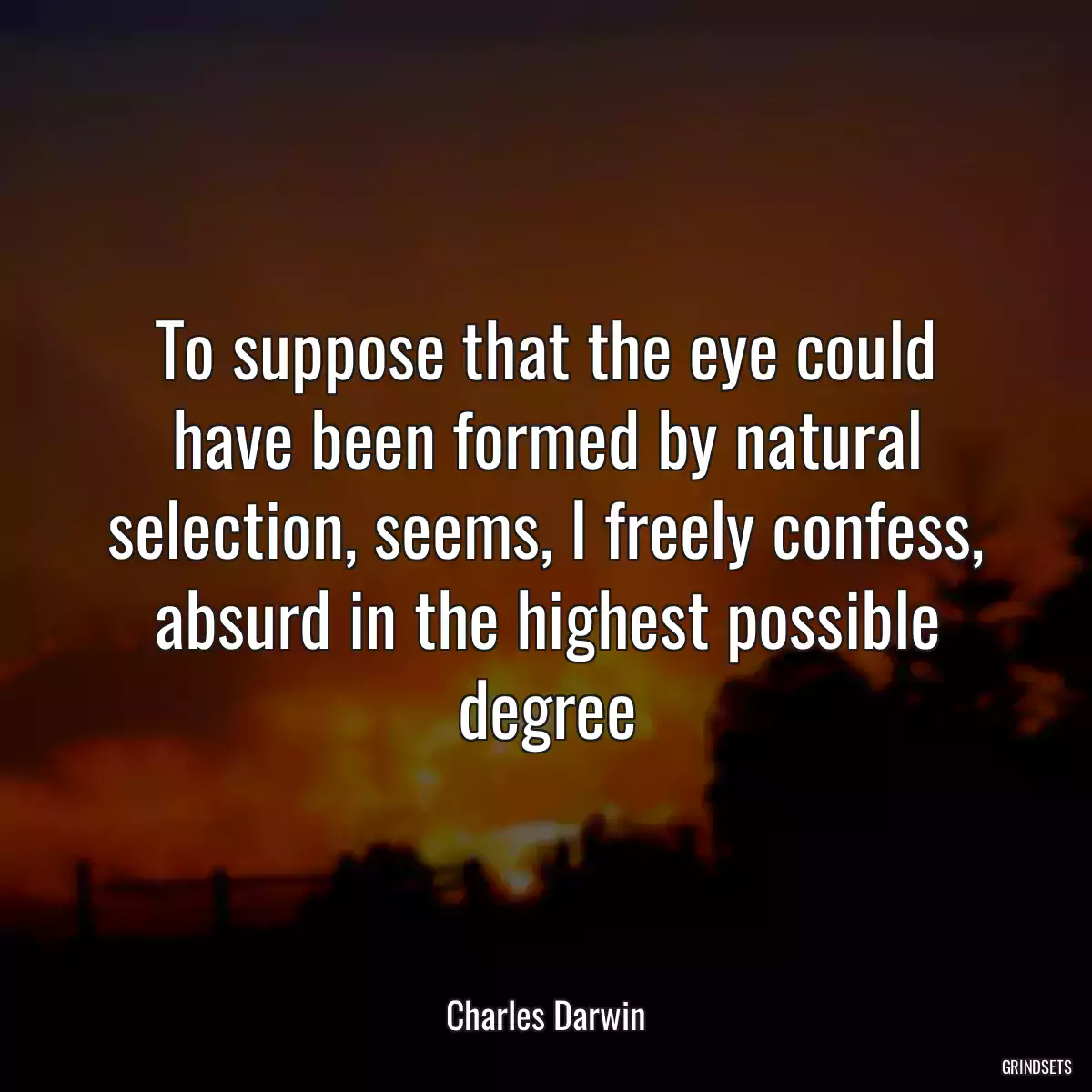 To suppose that the eye could have been formed by natural selection, seems, I freely confess, absurd in the highest possible degree