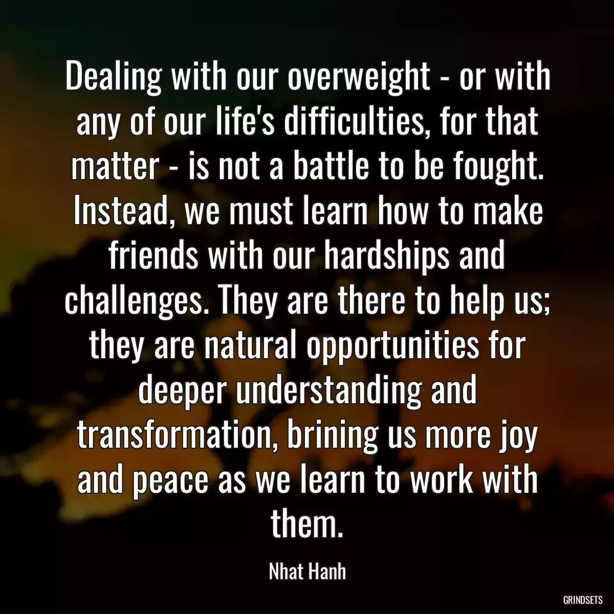 Dealing with our overweight - or with any of our life\'s difficulties, for that matter - is not a battle to be fought. Instead, we must learn how to make friends with our hardships and challenges. They are there to help us; they are natural opportunities for deeper understanding and transformation, brining us more joy and peace as we learn to work with them.