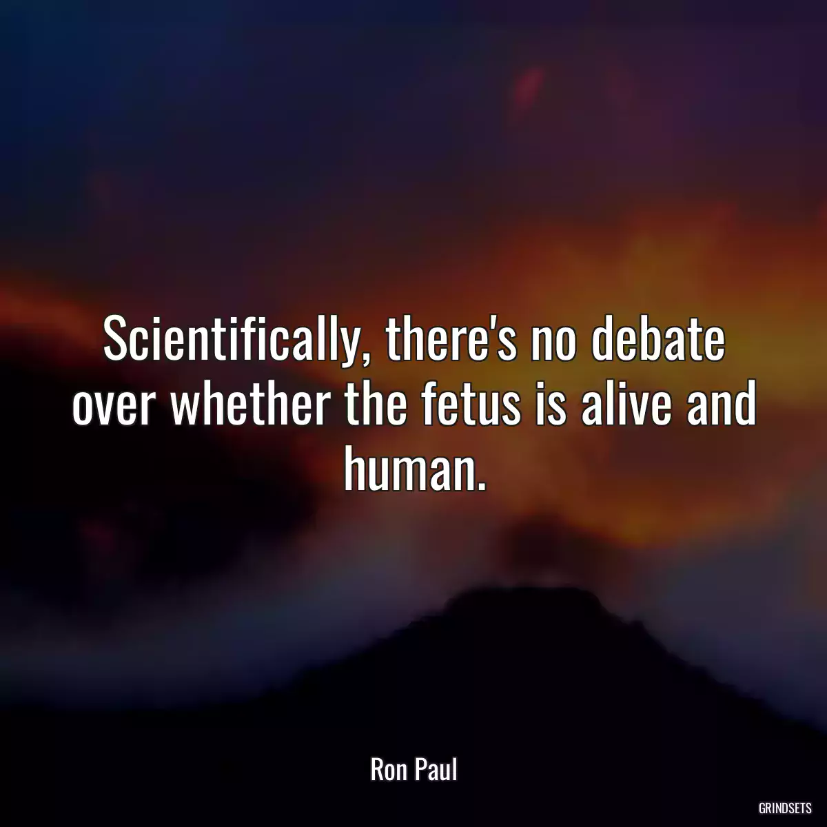 Scientifically, there\'s no debate over whether the fetus is alive and human.