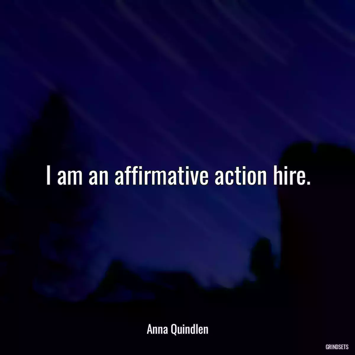 I am an affirmative action hire.