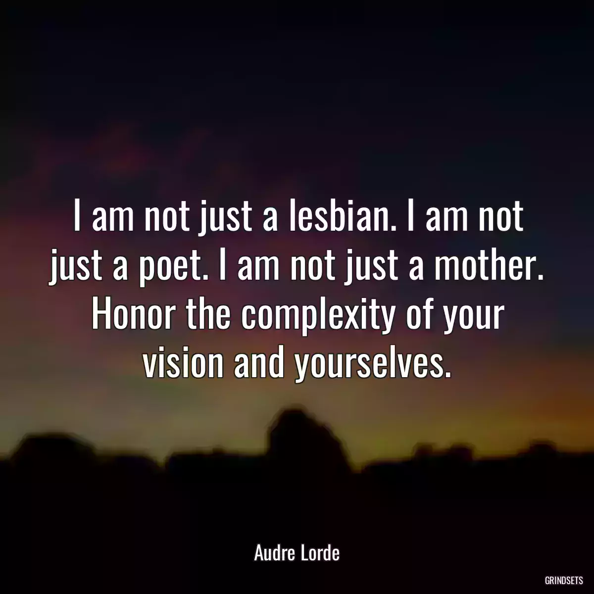 I am not just a lesbian. I am not just a poet. I am not just a mother. Honor the complexity of your vision and yourselves.