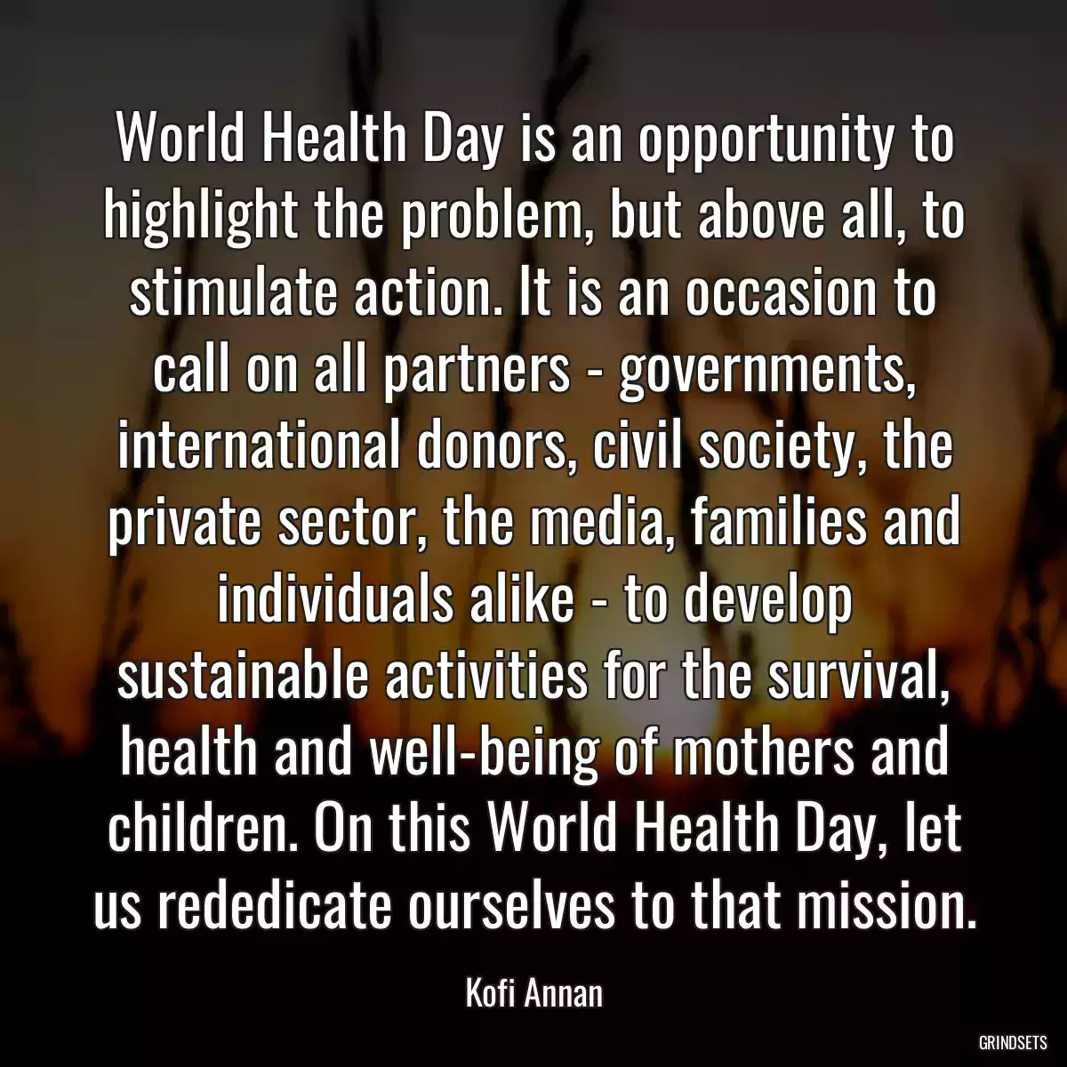 World Health Day is an opportunity to highlight the problem, but above all, to stimulate action. It is an occasion to call on all partners - governments, international donors, civil society, the private sector, the media, families and individuals alike - to develop sustainable activities for the survival, health and well-being of mothers and children. On this World Health Day, let us rededicate ourselves to that mission.