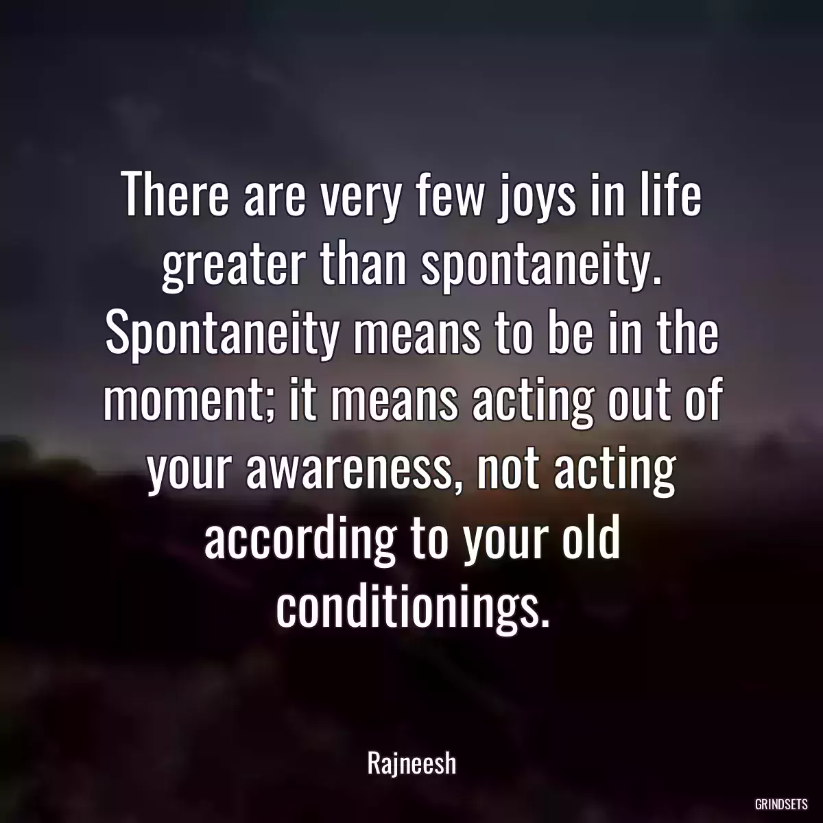 There are very few joys in life greater than spontaneity. Spontaneity means to be in the moment; it means acting out of your awareness, not acting according to your old conditionings.