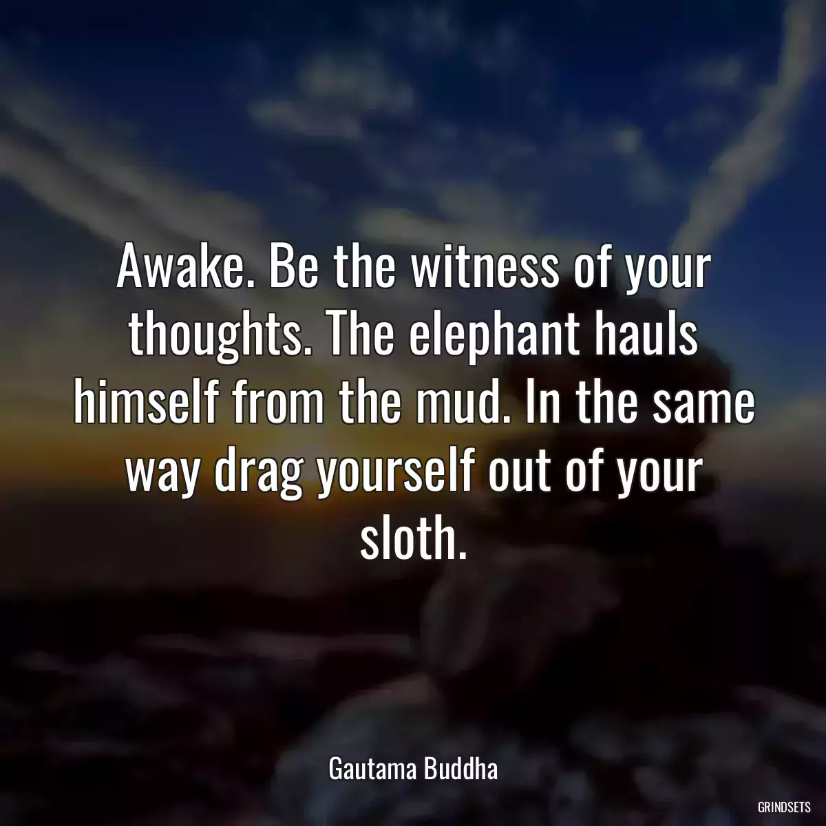 Awake. Be the witness of your thoughts. The elephant hauls himself from the mud. In the same way drag yourself out of your sloth.
