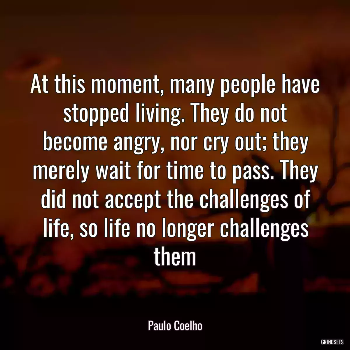 At this moment, many people have stopped living. They do not become angry, nor cry out; they merely wait for time to pass. They did not accept the challenges of life, so life no longer challenges them