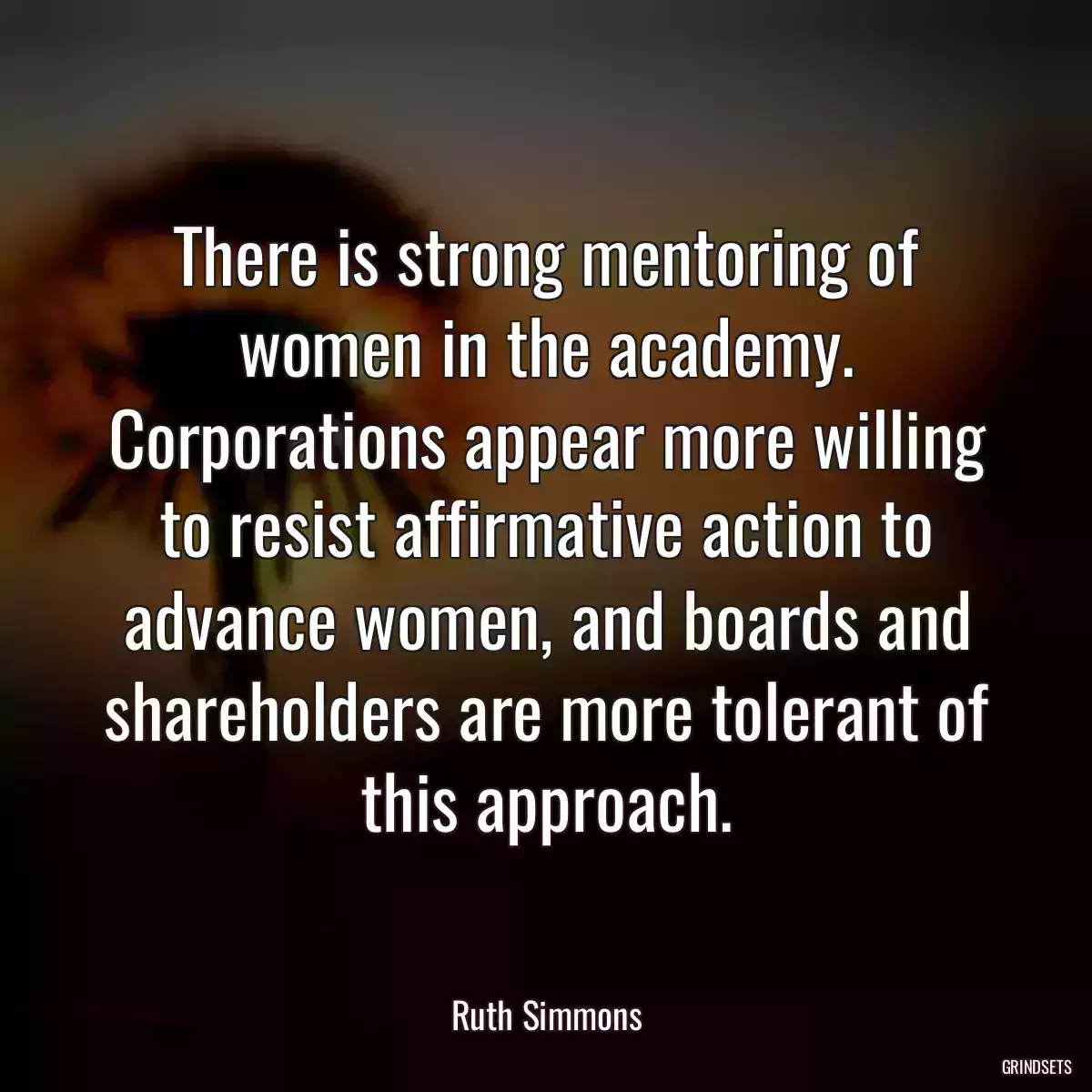 There is strong mentoring of women in the academy. Corporations appear more willing to resist affirmative action to advance women, and boards and shareholders are more tolerant of this approach.