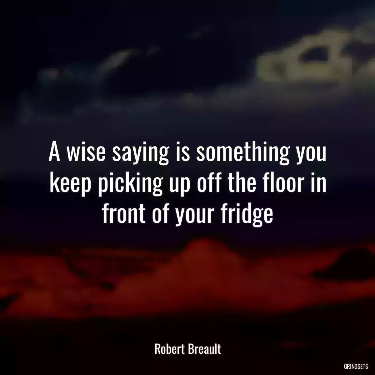 A wise saying is something you keep picking up off the floor in front of your fridge