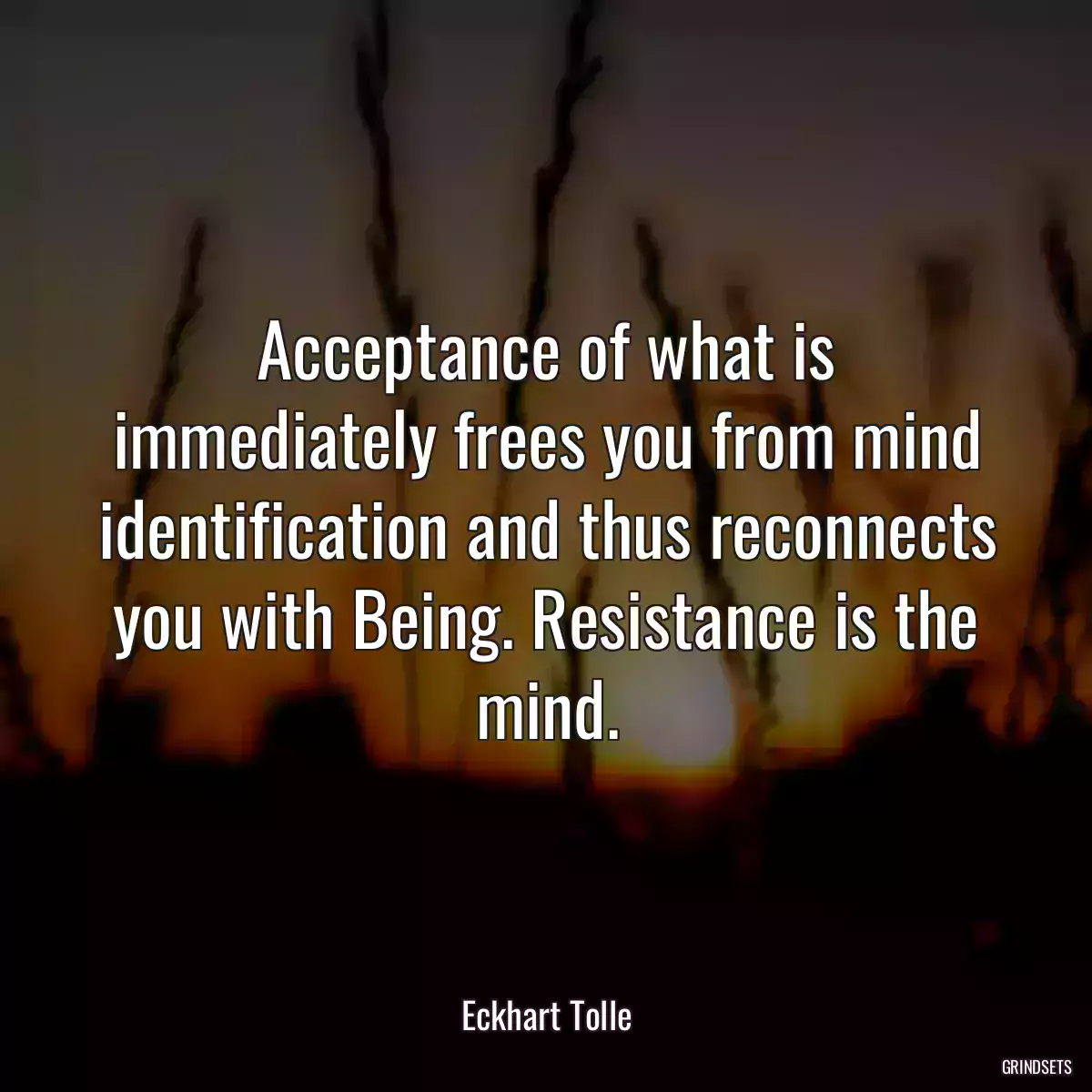 Acceptance of what is immediately frees you from mind identification and thus reconnects you with Being. Resistance is the mind.