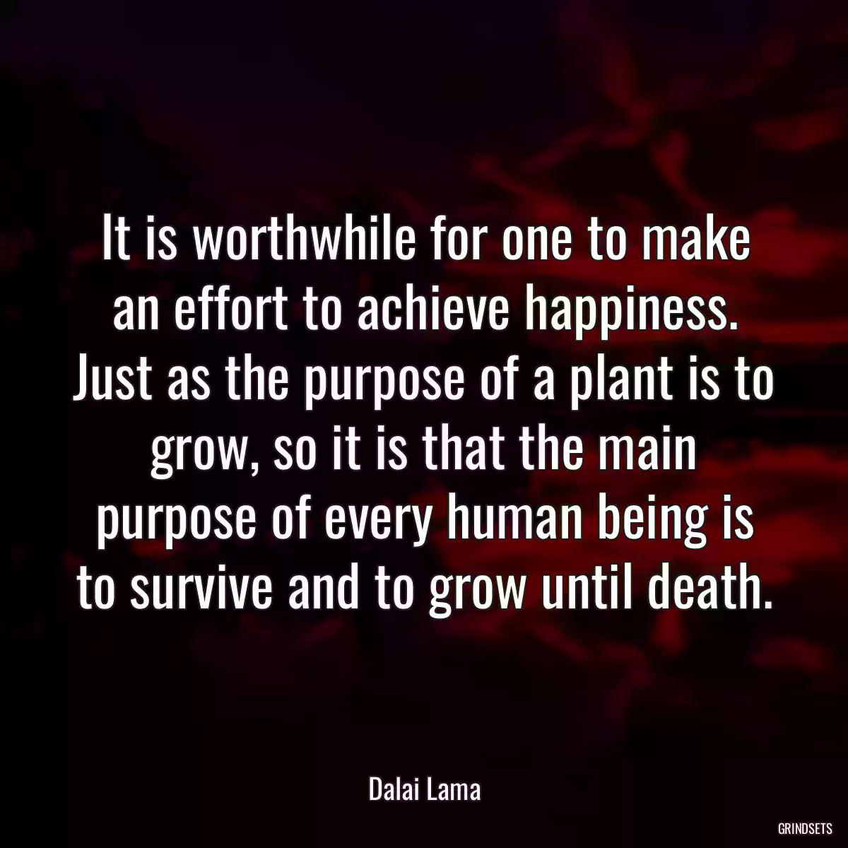 It is worthwhile for one to make an effort to achieve happiness. Just as the purpose of a plant is to grow, so it is that the main purpose of every human being is to survive and to grow until death.