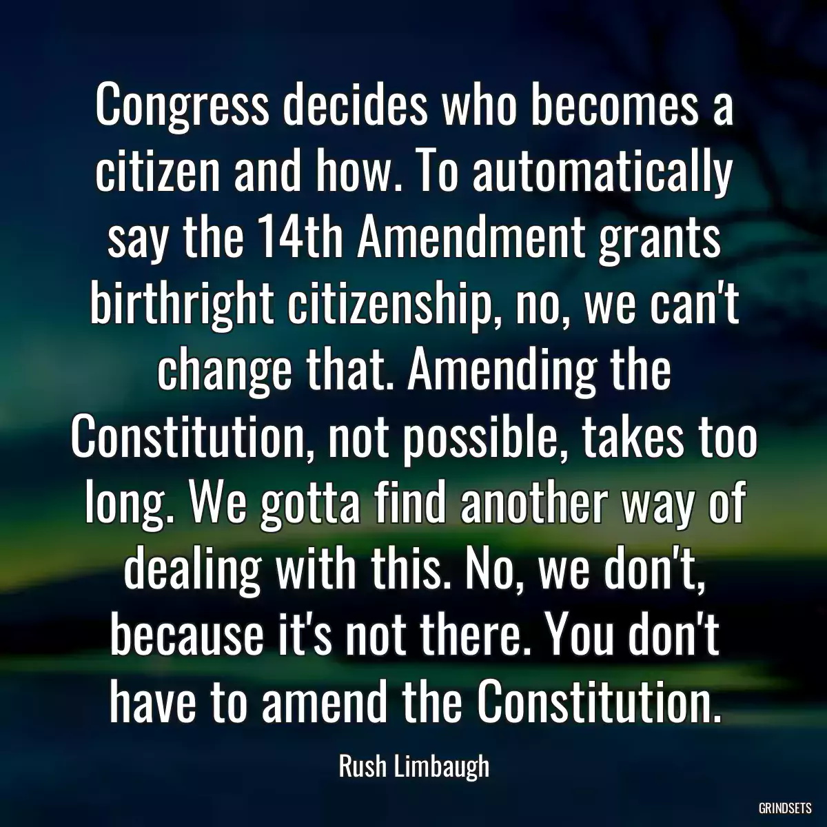 Congress decides who becomes a citizen and how. To automatically say the 14th Amendment grants birthright citizenship, no, we can\'t change that. Amending the Constitution, not possible, takes too long. We gotta find another way of dealing with this. No, we don\'t, because it\'s not there. You don\'t have to amend the Constitution.