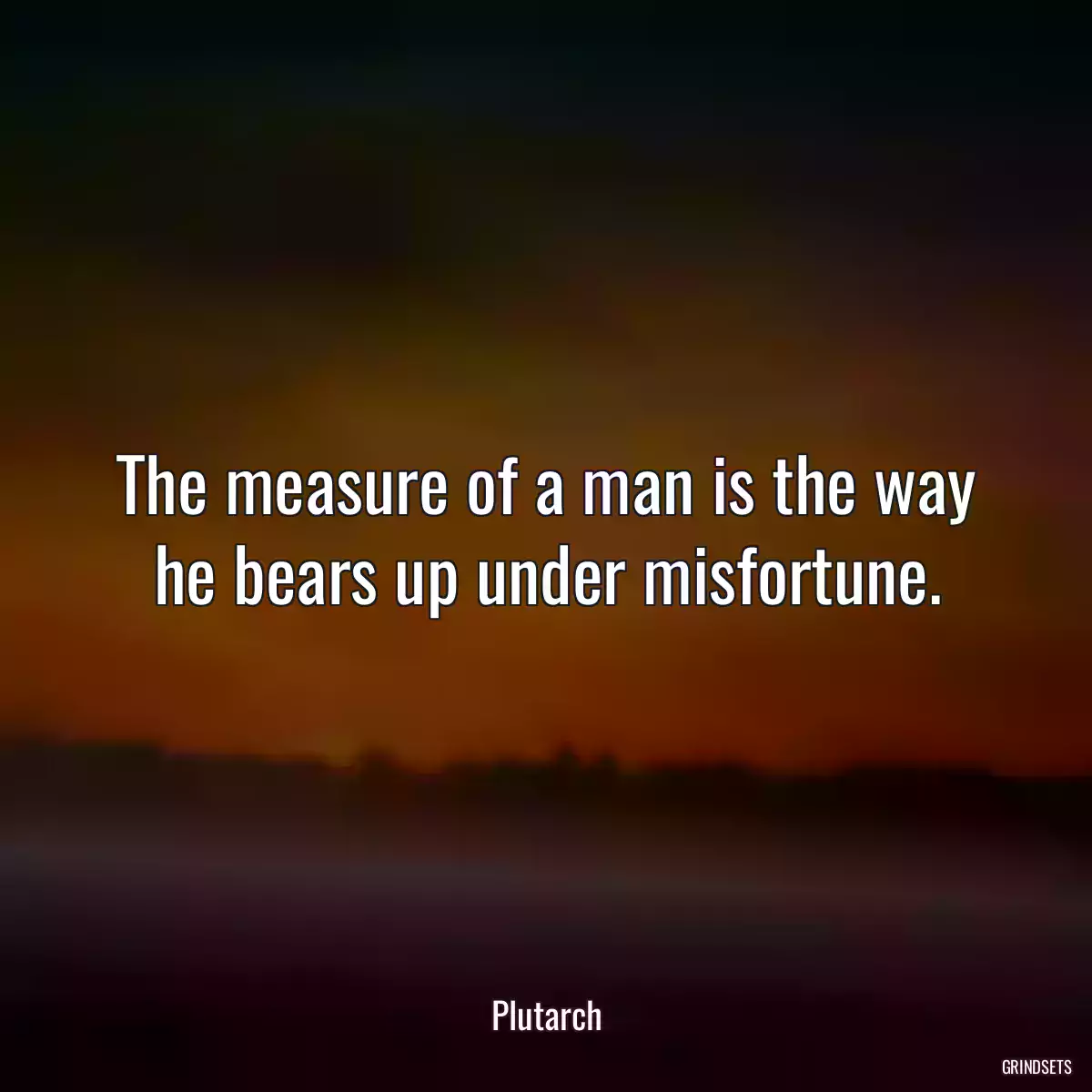 The measure of a man is the way he bears up under misfortune.