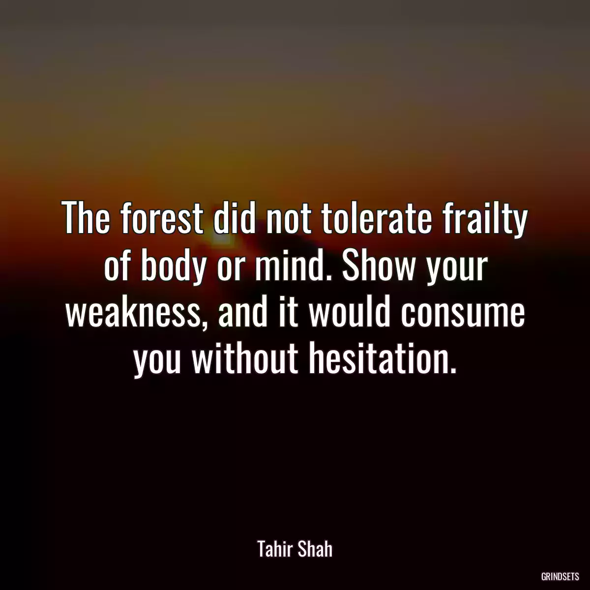 The forest did not tolerate frailty of body or mind. Show your weakness, and it would consume you without hesitation.