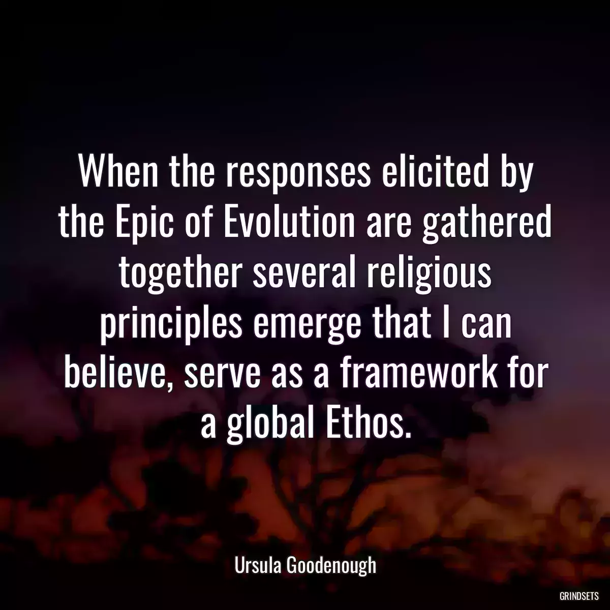 When the responses elicited by the Epic of Evolution are gathered together several religious principles emerge that I can believe, serve as a framework for a global Ethos.