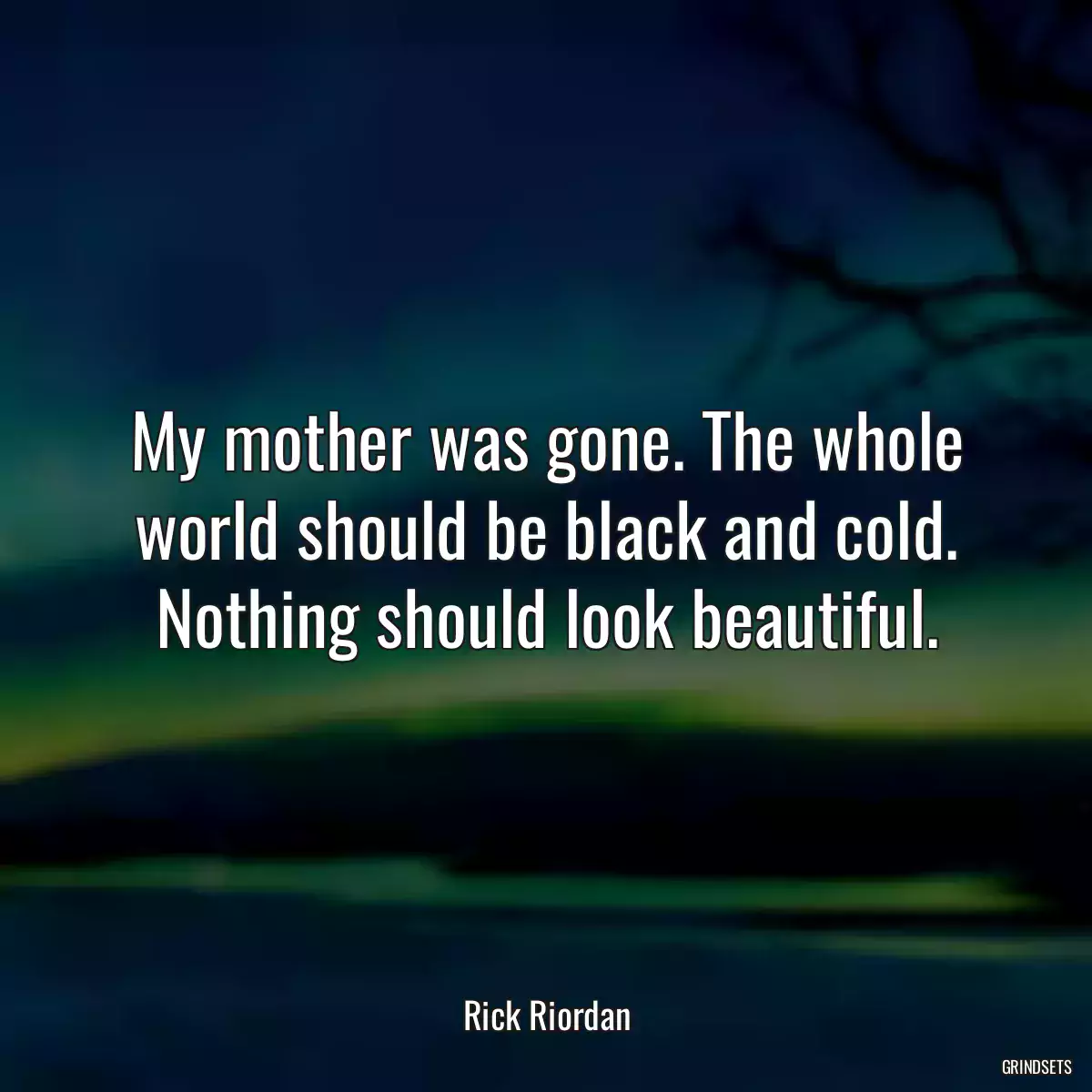 My mother was gone. The whole world should be black and cold. Nothing should look beautiful.