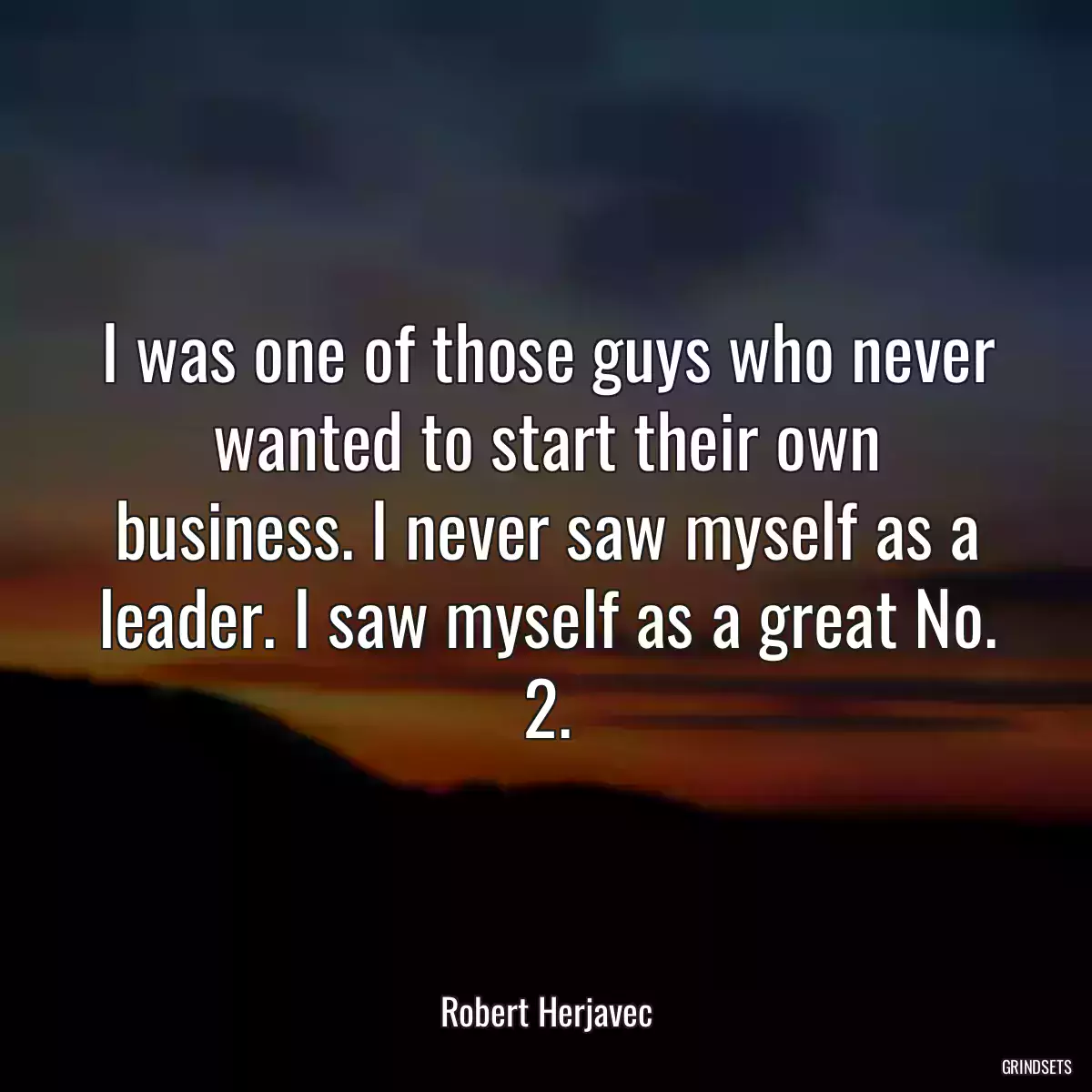 I was one of those guys who never wanted to start their own business. I never saw myself as a leader. I saw myself as a great No. 2.