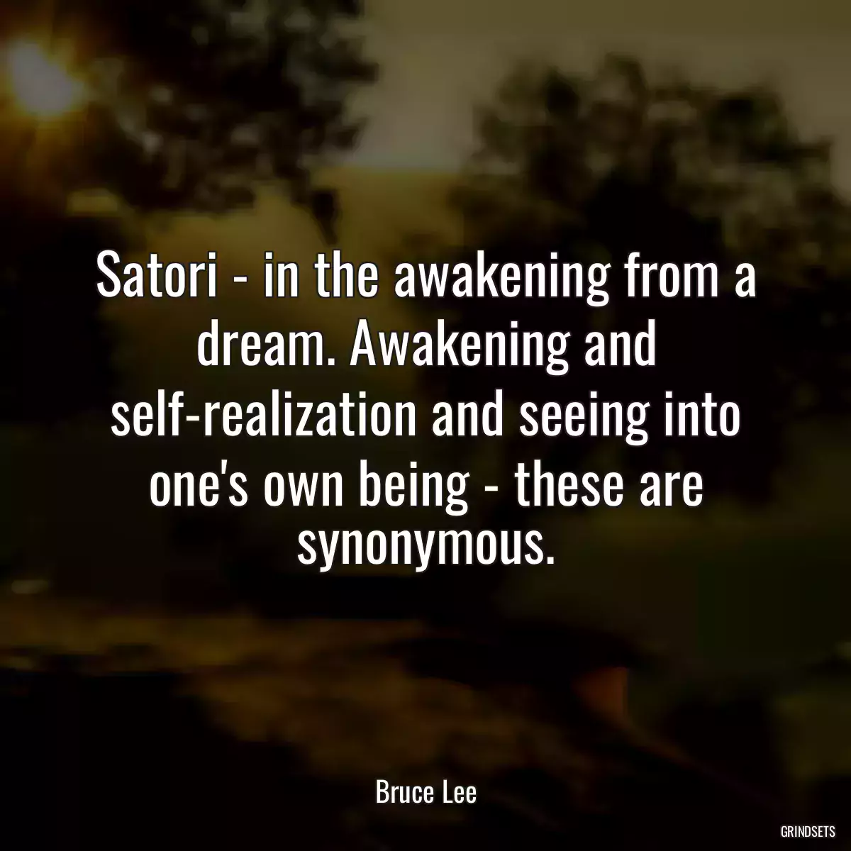 Satori - in the awakening from a dream. Awakening and self-realization and seeing into one\'s own being - these are synonymous.
