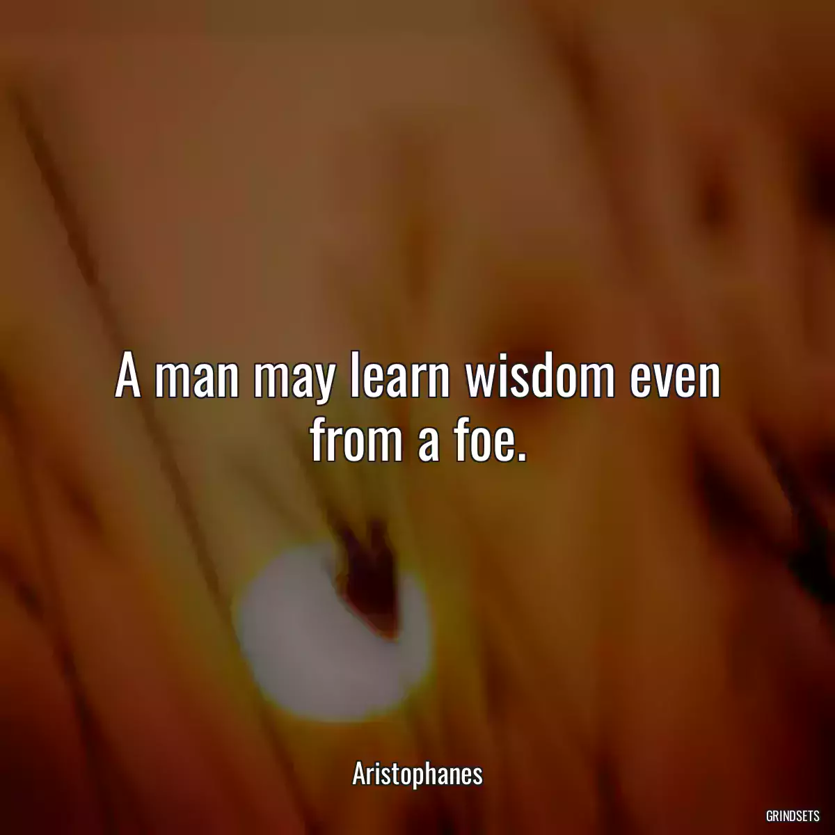 A man may learn wisdom even from a foe.