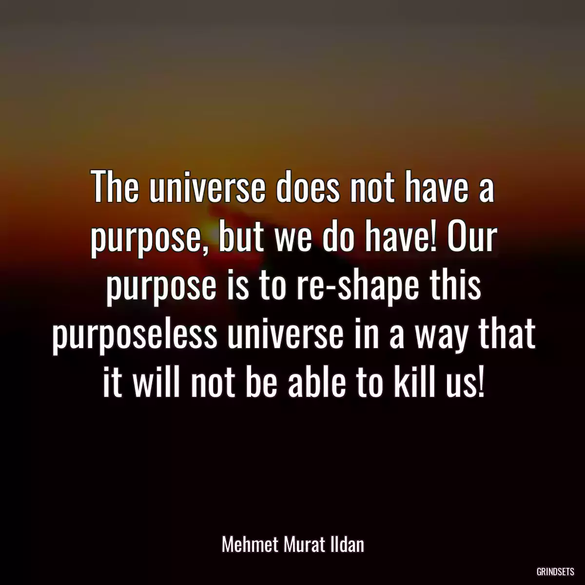 The universe does not have a purpose, but we do have! Our purpose is to re-shape this purposeless universe in a way that it will not be able to kill us!