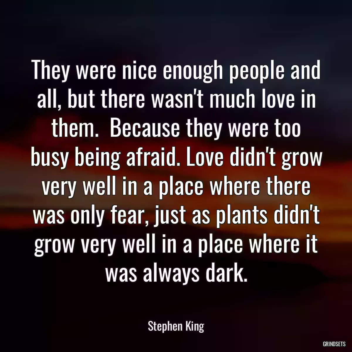 They were nice enough people and all, but there wasn\'t much love in them.  Because they were too busy being afraid. Love didn\'t grow very well in a place where there was only fear, just as plants didn\'t grow very well in a place where it was always dark.