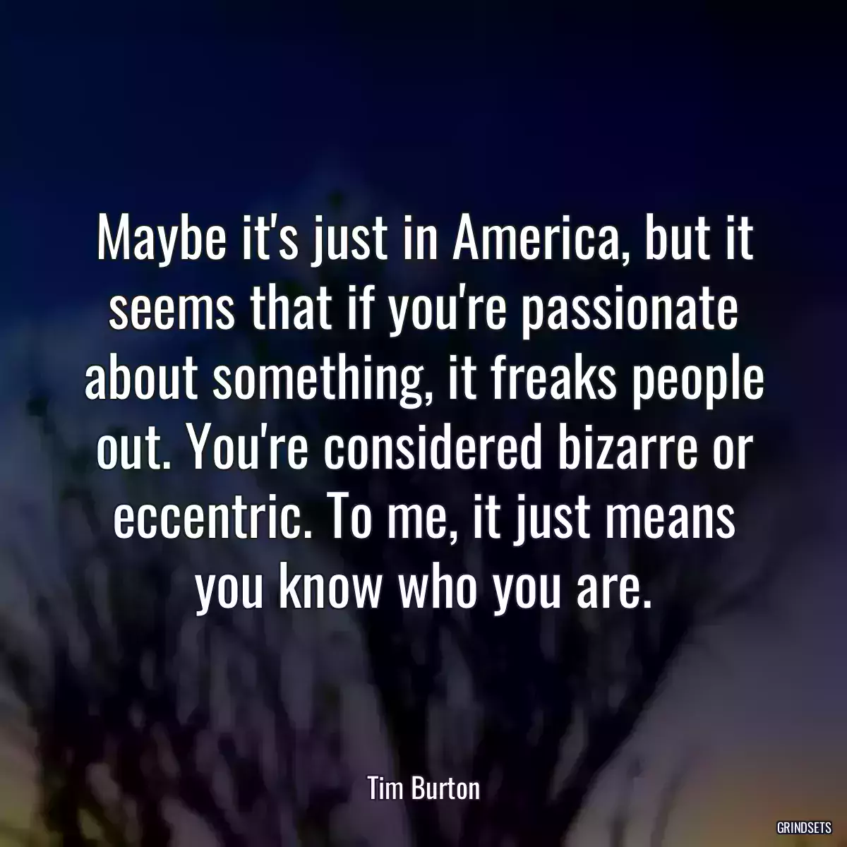 Maybe it\'s just in America, but it seems that if you\'re passionate about something, it freaks people out. You\'re considered bizarre or eccentric. To me, it just means you know who you are.