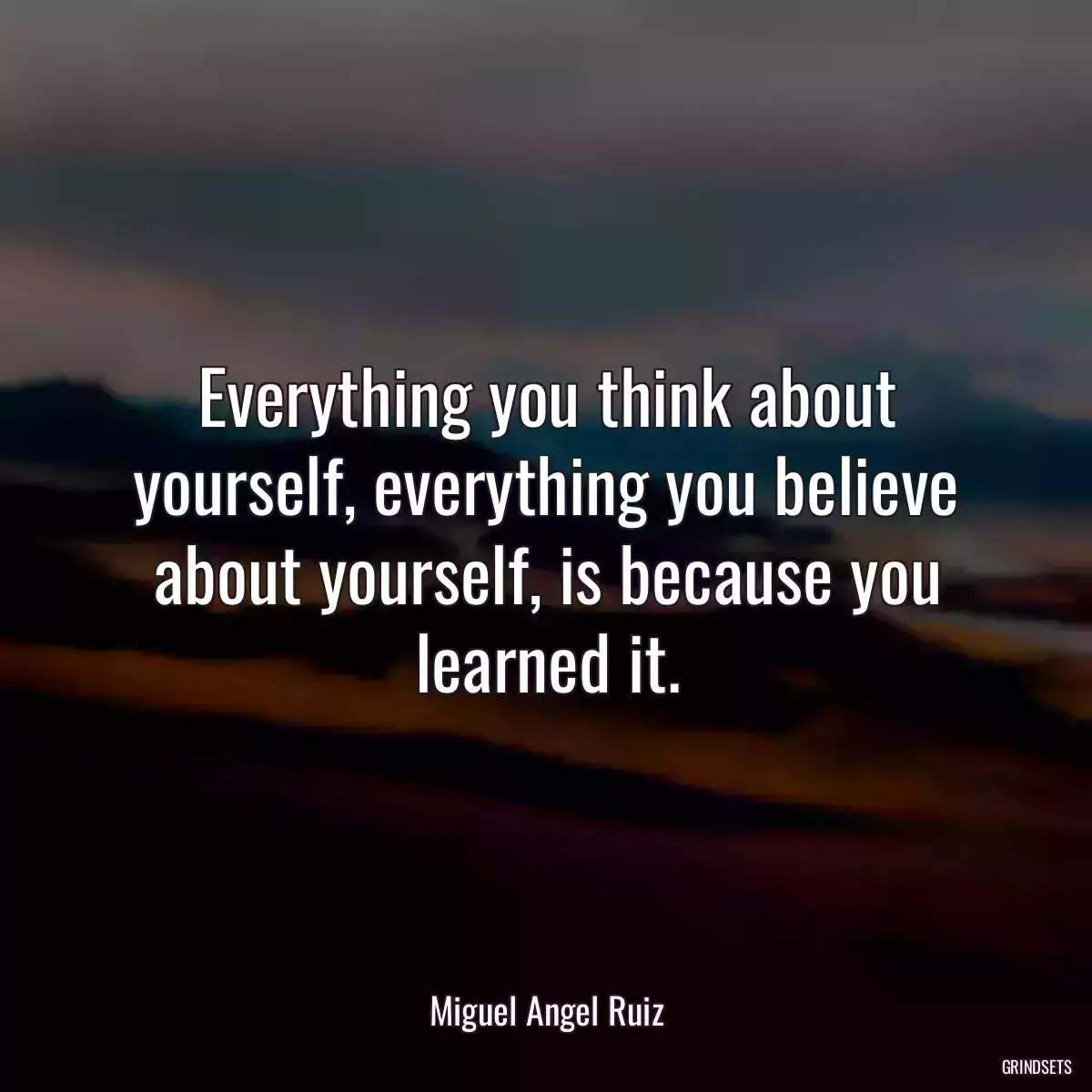 Everything you think about yourself, everything you believe about yourself, is because you learned it.