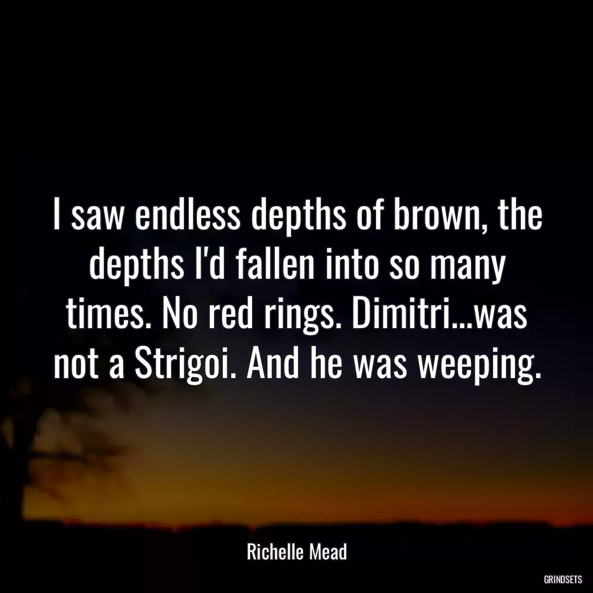 I saw endless depths of brown, the depths I\'d fallen into so many times. No red rings. Dimitri...was not a Strigoi. And he was weeping.