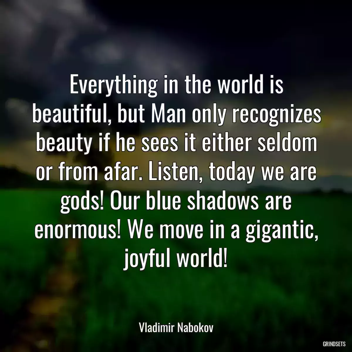 Everything in the world is beautiful, but Man only recognizes beauty if he sees it either seldom or from afar. Listen, today we are gods! Our blue shadows are enormous! We move in a gigantic, joyful world!