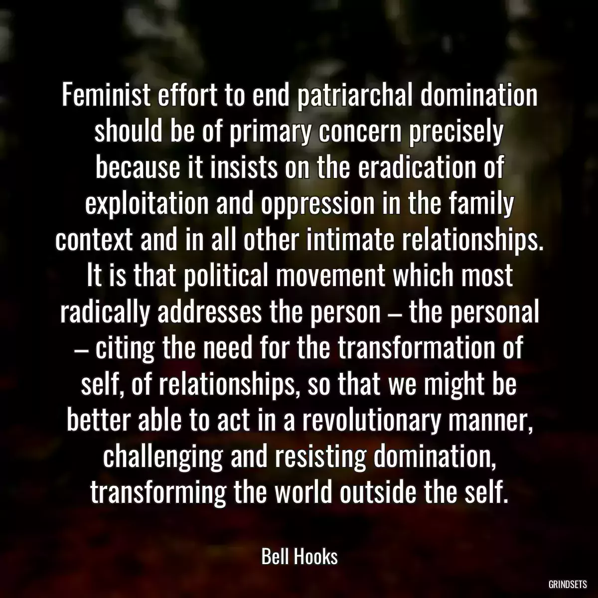 Feminist effort to end patriarchal domination should be of primary concern precisely because it insists on the eradication of exploitation and oppression in the family context and in all other intimate relationships. It is that political movement which most radically addresses the person – the personal – citing the need for the transformation of self, of relationships, so that we might be better able to act in a revolutionary manner, challenging and resisting domination, transforming the world outside the self.