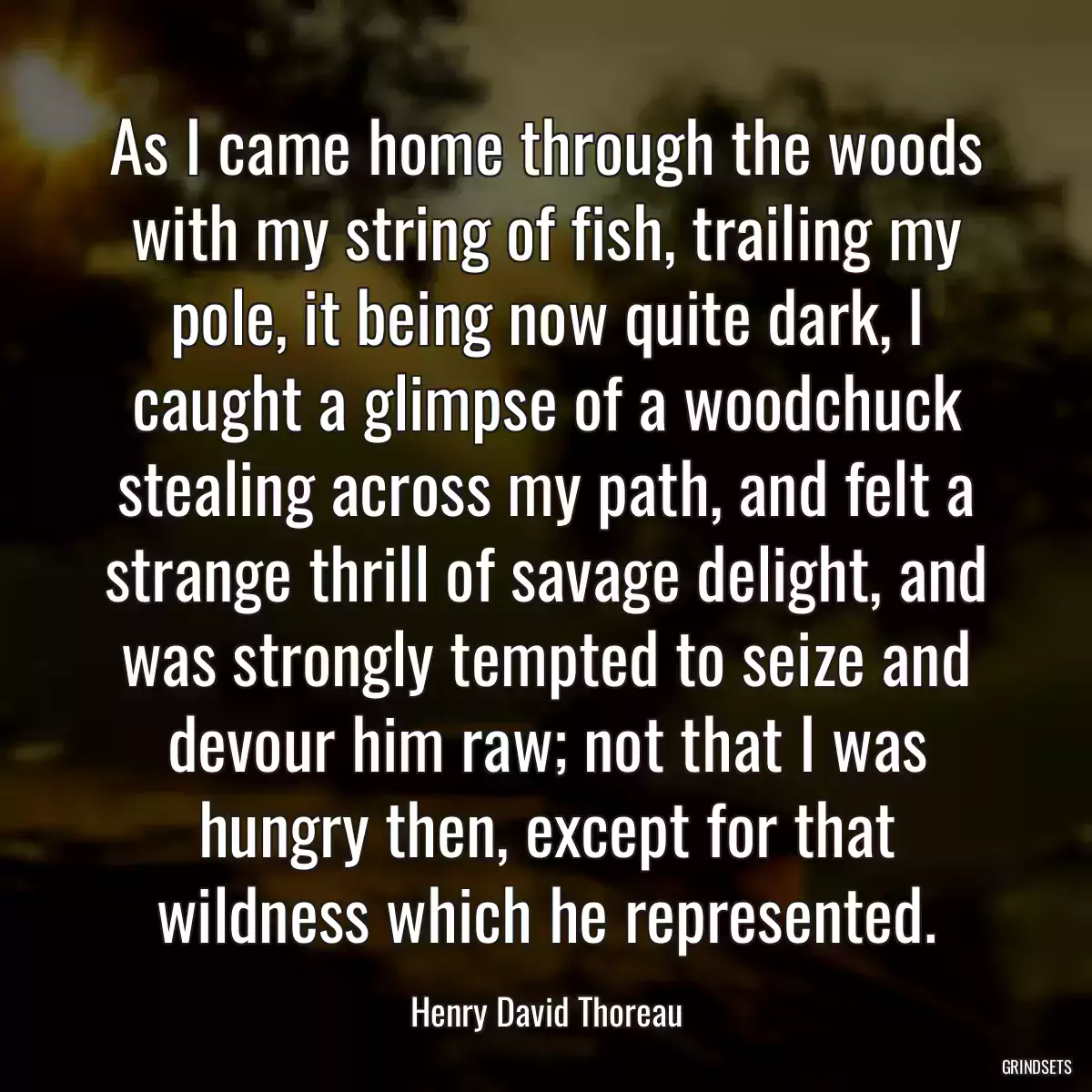 As I came home through the woods with my string of fish, trailing my pole, it being now quite dark, I caught a glimpse of a woodchuck stealing across my path, and felt a strange thrill of savage delight, and was strongly tempted to seize and devour him raw; not that I was hungry then, except for that wildness which he represented.