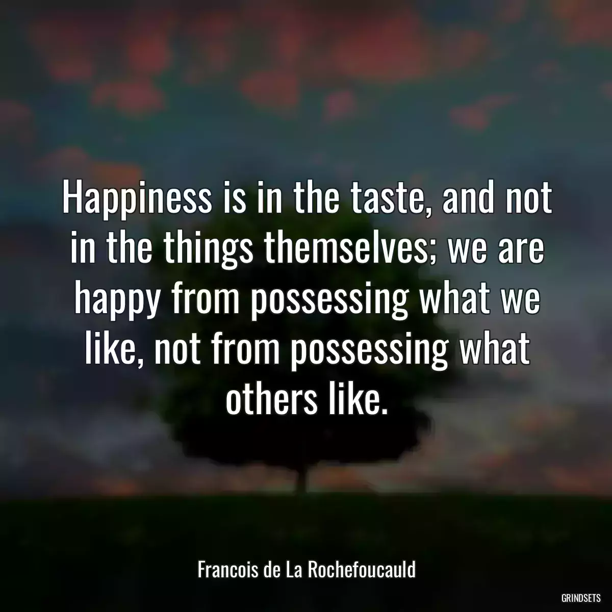 Happiness is in the taste, and not in the things themselves; we are happy from possessing what we like, not from possessing what others like.