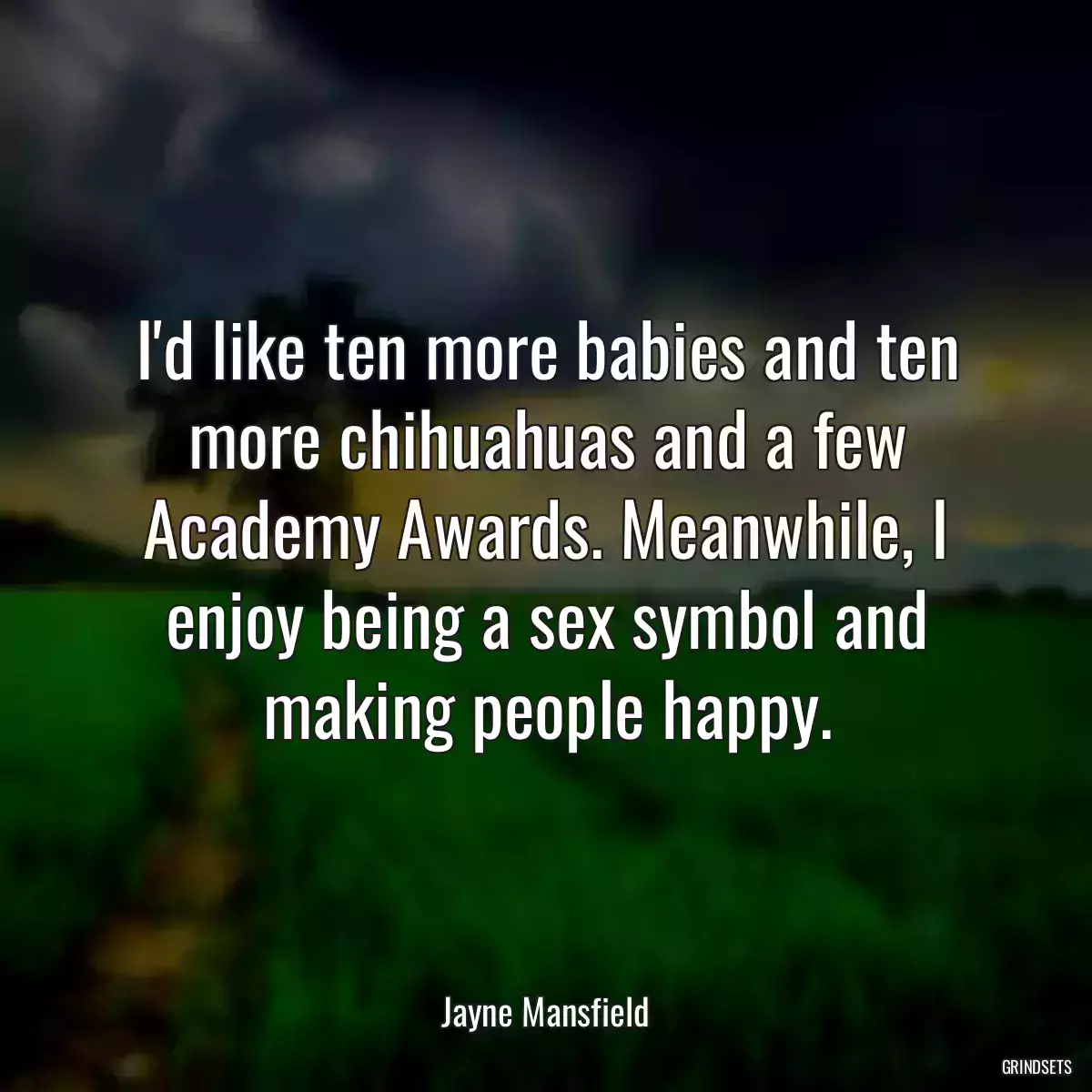 I\'d like ten more babies and ten more chihuahuas and a few Academy Awards. Meanwhile, I enjoy being a sex symbol and making people happy.